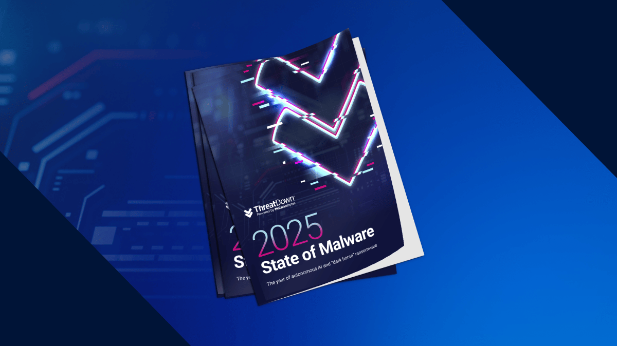 STATE OF MALWARE IMAGE